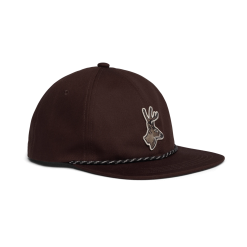 Species Unstructured Snapback