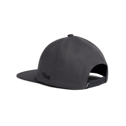Alternative view of Species Unstructured Snapback
